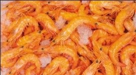 40/60 crevettes bio cuites 高风险召回