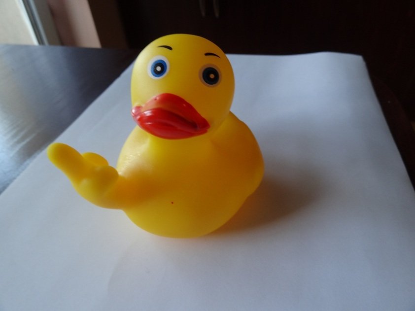 Bath toy 召回/安全警示