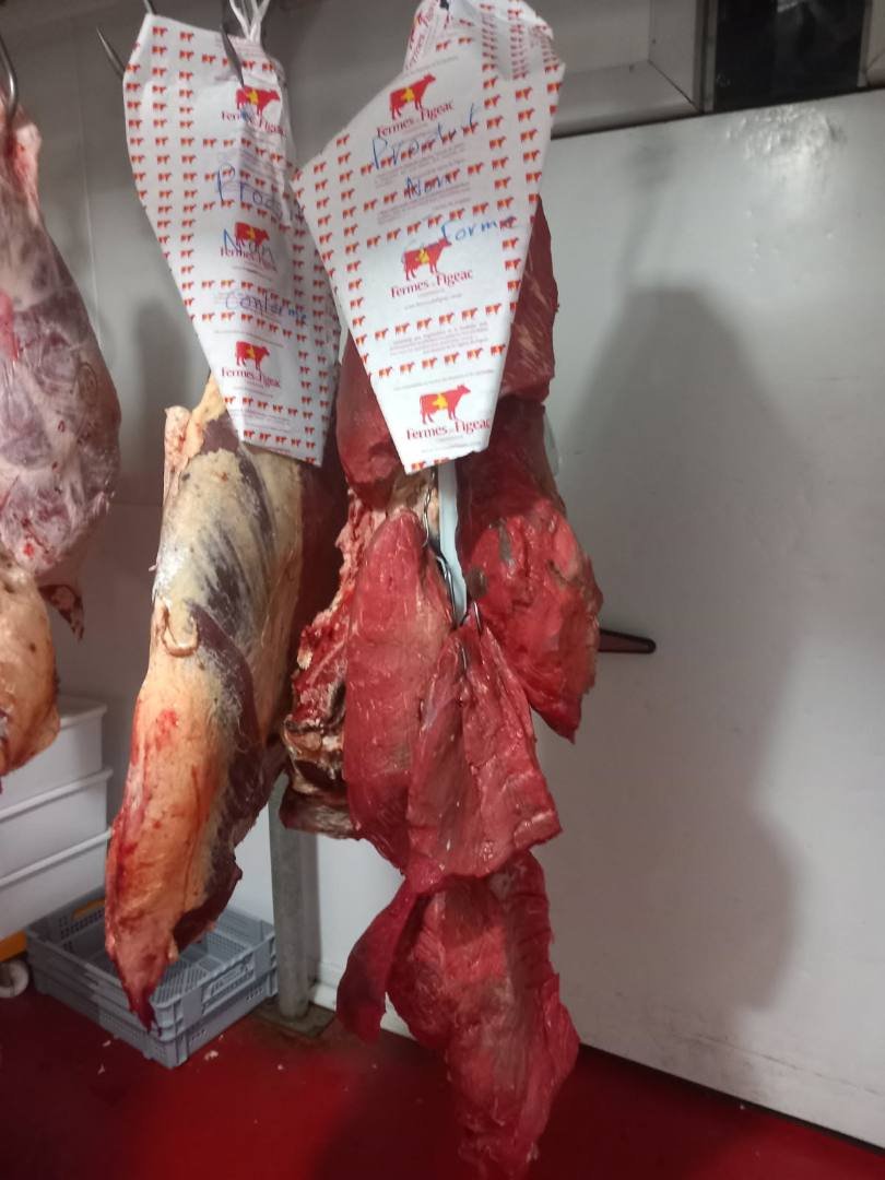 CARCASSE DE VIANDE DE BOEUF 召回/安全警示