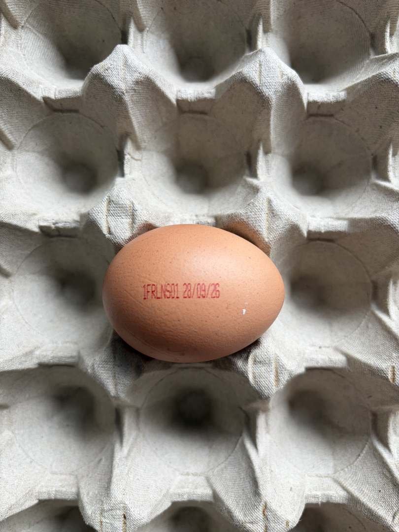 Oeufs issus de poules Plein Air 召回/安全警示