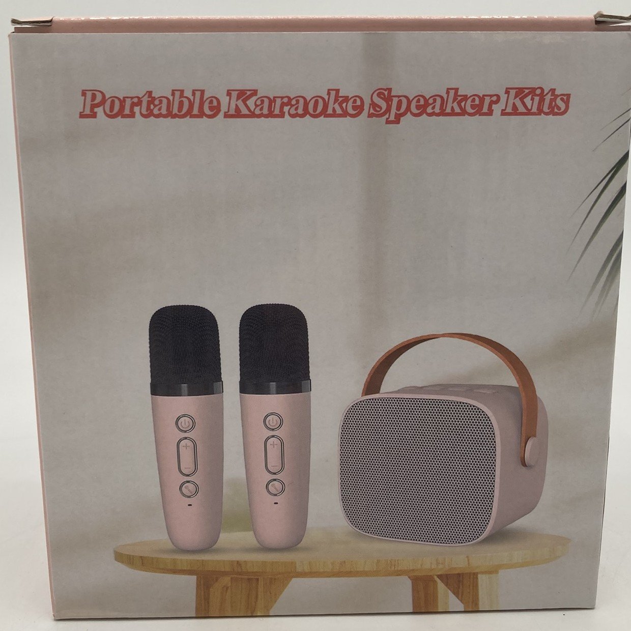 Portable karaoke set 召回/安全警示
