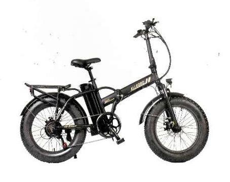 Product Safety Report: Allegro A1 E-bike ([已编辑])